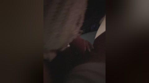 darby115 free recording from 2024-11-20 00:08:00