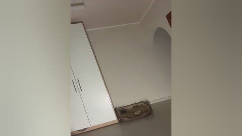 skuki29 free recording from 2024-11-20 22:26:00