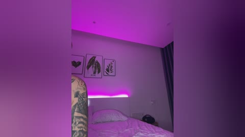 twins666 free recording from 2024-11-20 01:55:00