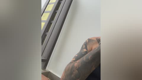 twins666 free recording from 2024-11-20 02:59:00