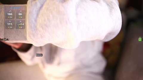 _lola_ free recording from 2024-11-21 21:16:00