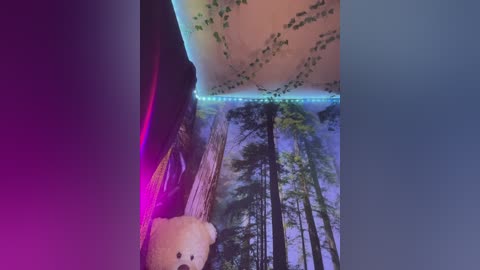 _summer_ free recording from 2024-11-21 05:05:00