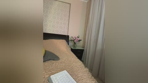 _vaka_ free recording from 2024-11-21 05:48:00