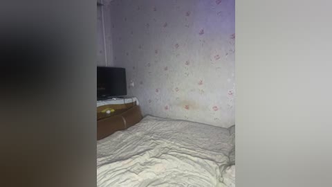 alyavass1 free recording from 2024-11-21 19:09:00