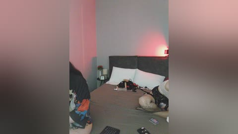 greyhouse free recording from 2024-11-21 17:23:00