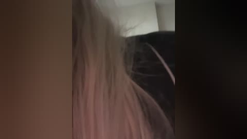 hannamo free recording from 2024-11-21 08:55:00