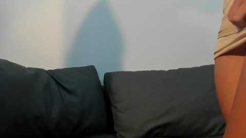 joao_erik free recording from 2024-11-21 01:48:00