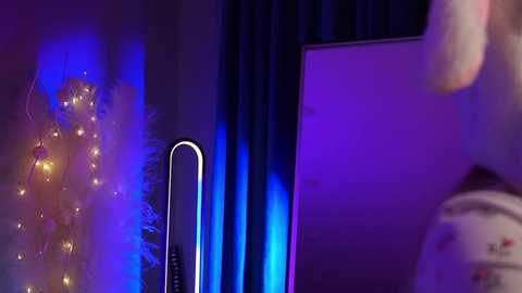 mininika free recording from 2024-11-21 20:55:00