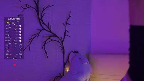 mispopi free recording from 2024-11-21 15:37:00