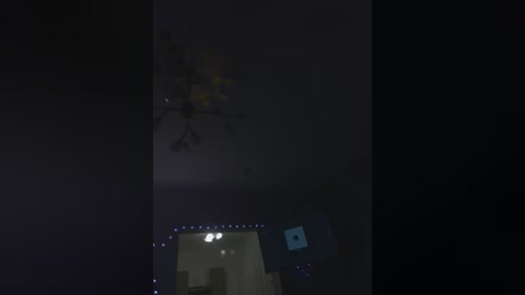 monsteradiamond free recording from 2024-11-21 21:18:00