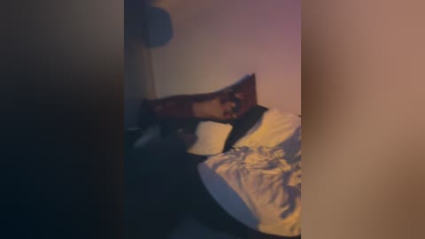 originalhooli free recording from 2024-11-21 22:21:00