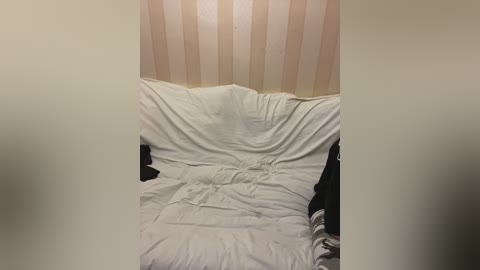 russiabrazers free recording from 2024-11-21 11:03:00