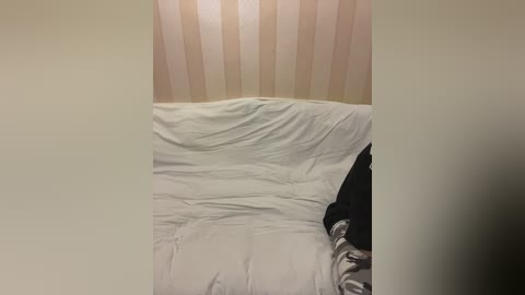 russiabrazers free recording from 2024-11-21 13:48:00