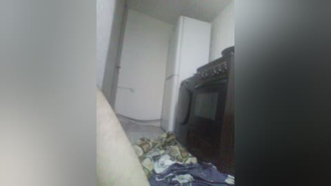 skvirtsperma free recording from 2024-11-21 17:44:00