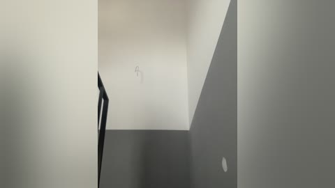 zoluszka free recording from 2024-11-21 07:06:00