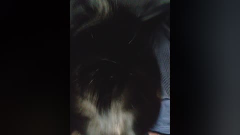 alisha_x free recording from 2024-11-22 20:59:00