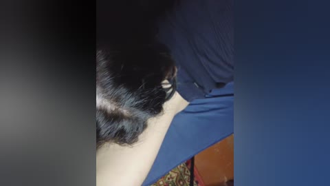 alisha_x free recording from 2024-11-22 21:32:00