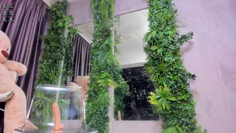 diamondjo free recording from 2024-11-22 03:27:00