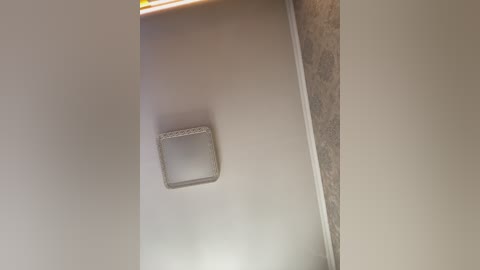 palmiira free recording from 2026-04-24 00:06:00