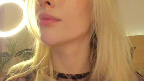 your_alice free recording from 2024-11-22 21:51:00