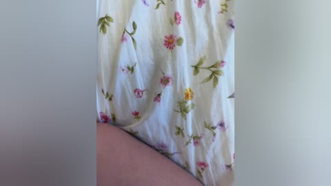 lovelus free recording from 2024-11-23 06:52:00