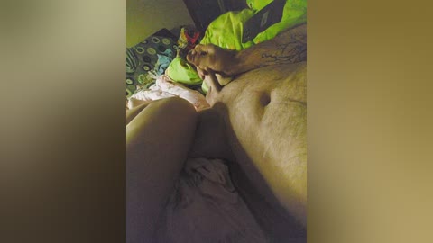 oksy3 free recording from 2024-11-23 05:38:00