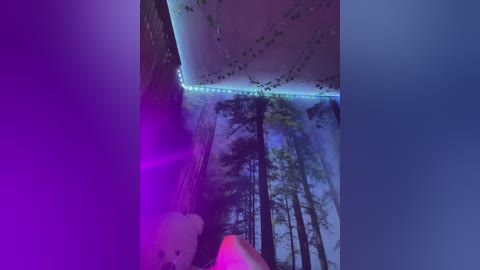 _summer_ free recording from 2024-11-24 00:28:00