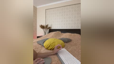 _vaka_ free recording from 2024-11-24 09:57:00