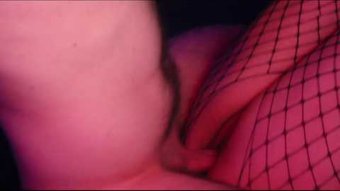 aoikotaro free recording from 2024-11-24 16:05:00