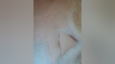 auka4 free recording from 2026-04-04 00:11:00