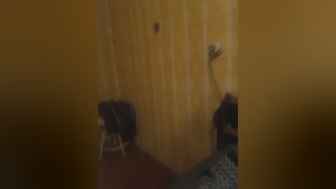 lyda27081 free recording from 2024-11-24 15:54:00