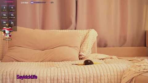 saykickk free recording from 2024-11-24 12:42:00