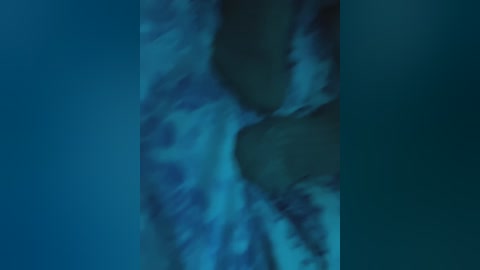 seritruh free recording from 2024-11-25 04:28:00