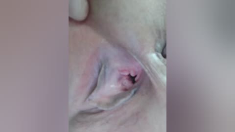 auka4 free recording from 2026-04-04 00:11:00