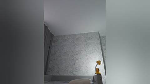 charlizetheron free recording from 2024-11-26 10:57:00