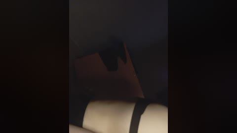 gfdftgf free recording from 2024-11-26 12:36:00