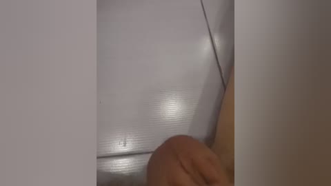 twobitrim free recording from 2024-11-26 21:23:00