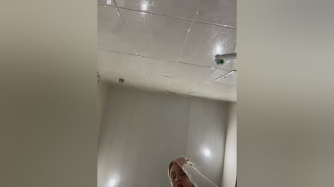 whiteeee free recording from 2024-11-26 15:17:00