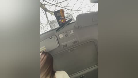 _breid_1 free recording from 2024-11-27 06:46:00