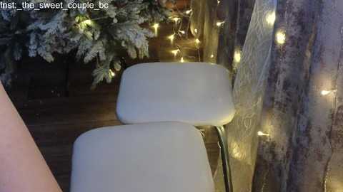 _the_sweet_couple_ free recording from 2024-11-28 11:54:00