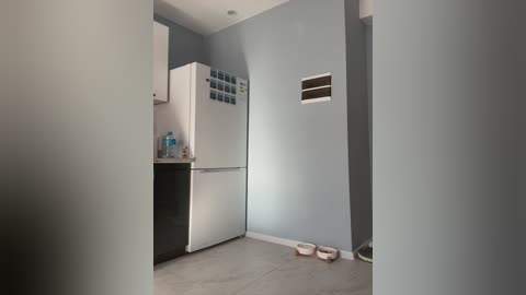 puppy19 free recording from 2024-11-28 06:32:00