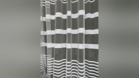 _hennessy_ free recording from 2024-11-29 09:39:00