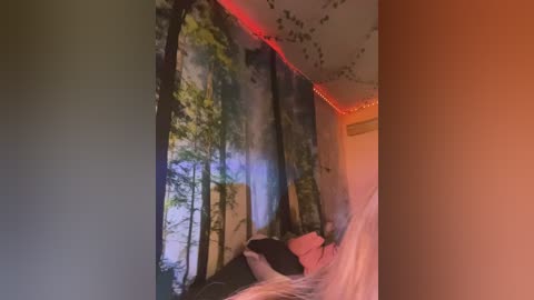 _summer_ free recording from 2024-11-29 10:20:00