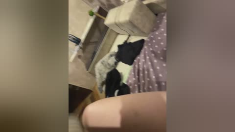 ernieflossy free recording from 2024-11-29 15:56:00