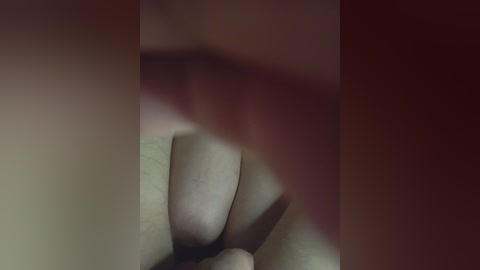 gfdftgf free recording from 2026-04-14 02:03:00