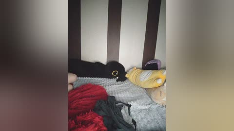 katherinepirss free recording from 2024-11-29 09:18:00