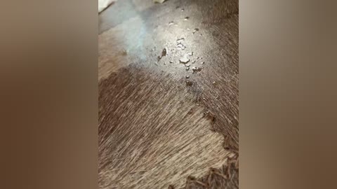 alisa_beautiful free recording from 2026-04-14 02:42:00