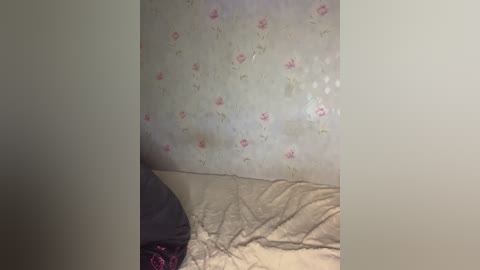 alyavass1 free recording from 2024-12-01 23:10:00