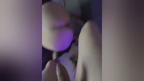 amoreallure free recording from 2024-12-01 23:06:00