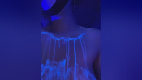 _summer_ free recording from 